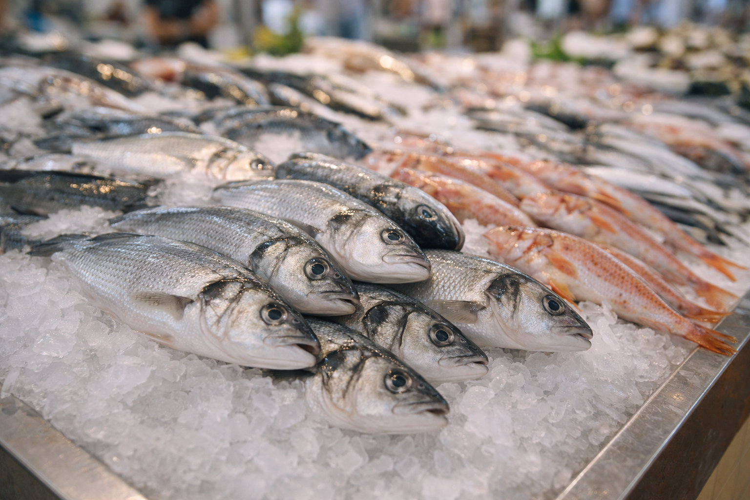 Peixe fresco exposto em banca, típico do Algarve